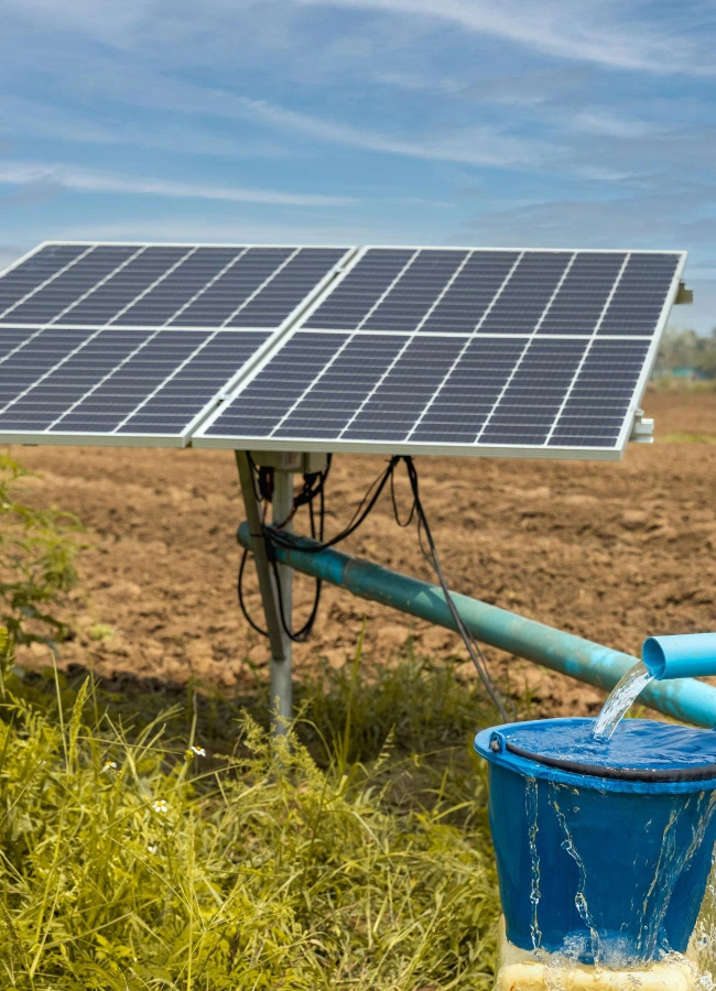 solar panel installed in a plantation nyssa or